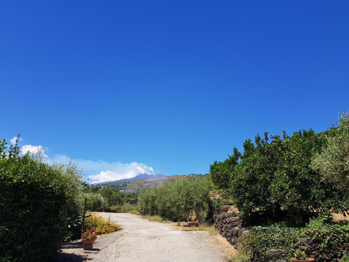 Agriturismo Le Case Di Civi Mascali Exteriör bild
