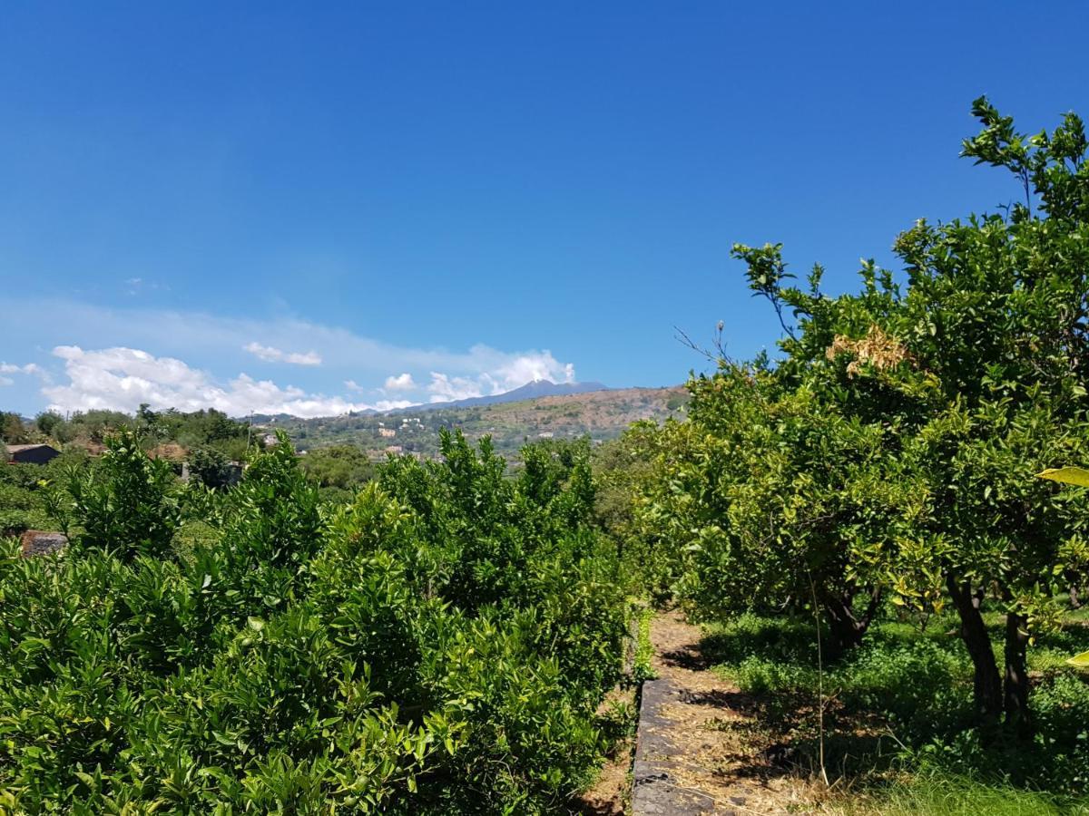 Agriturismo Le Case Di Civi Mascali Exteriör bild