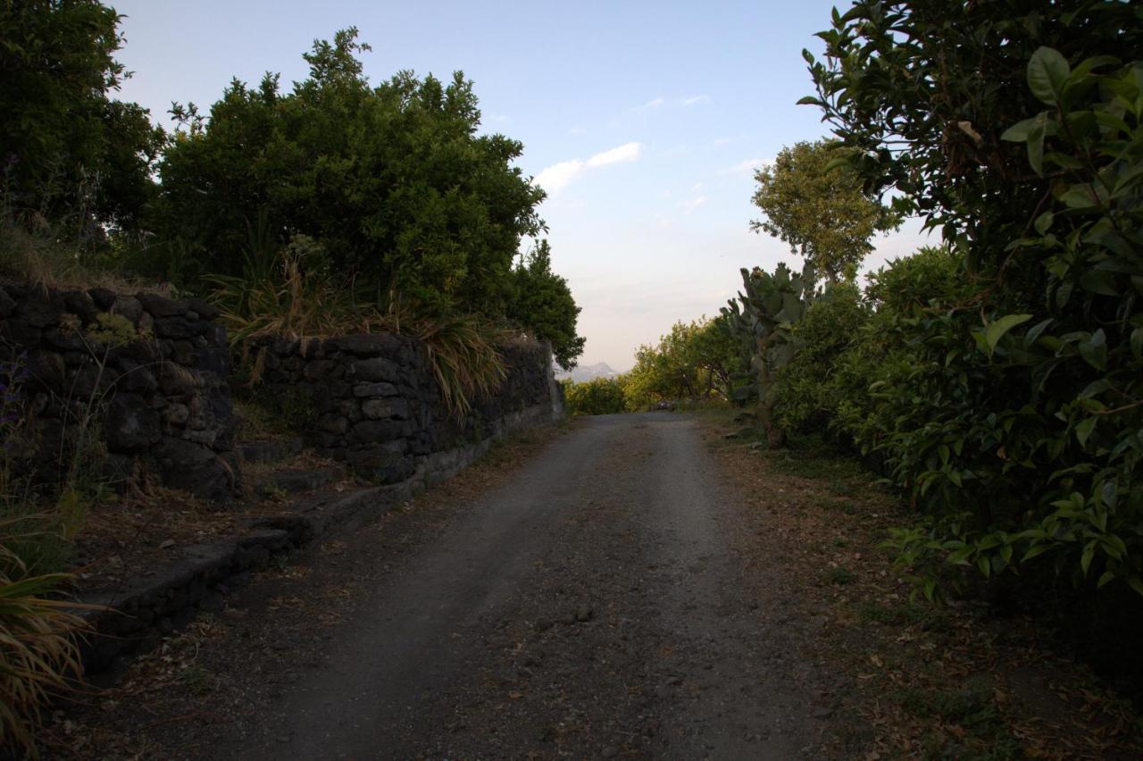 Agriturismo Le Case Di Civi Mascali Exteriör bild