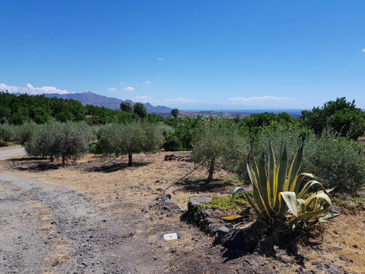 Agriturismo Le Case Di Civi Mascali Exteriör bild
