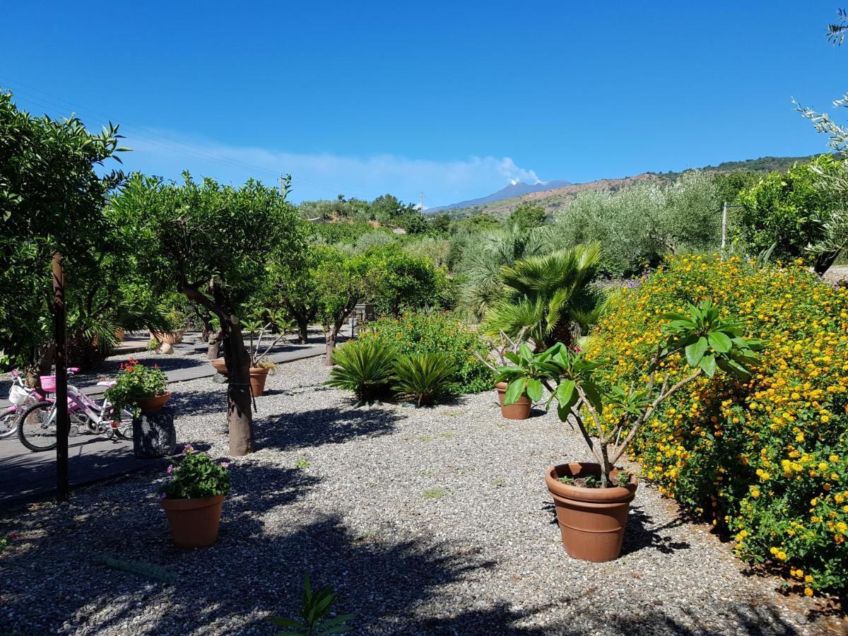 Agriturismo Le Case Di Civi Mascali Exteriör bild